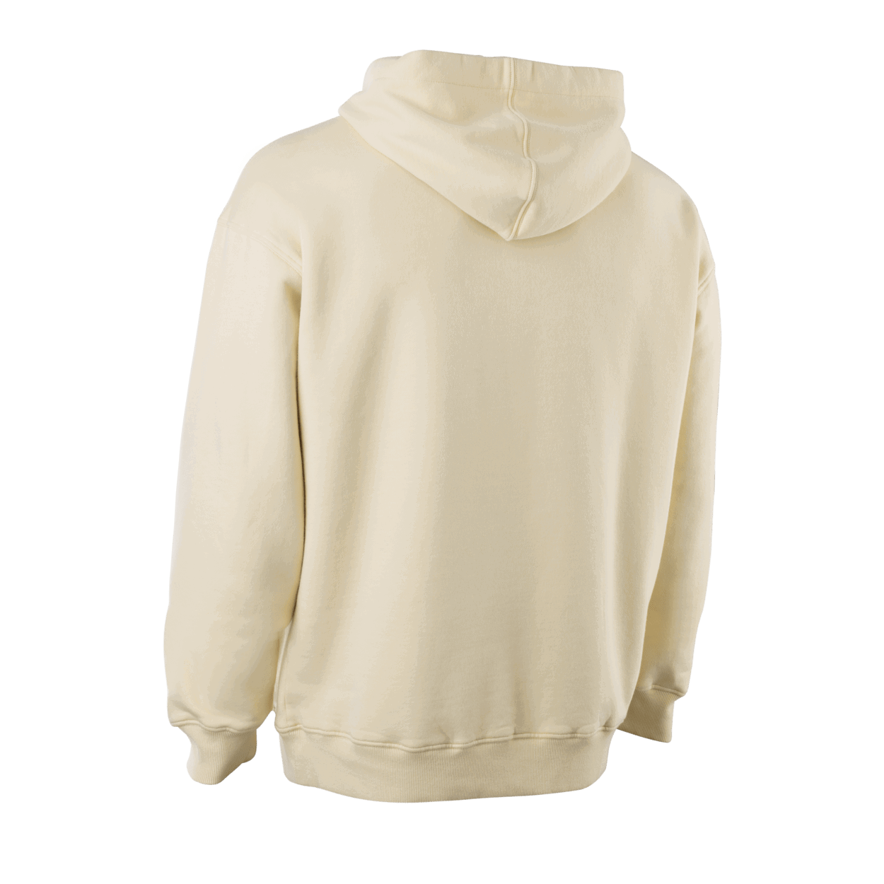 Hoody IONIC Herren