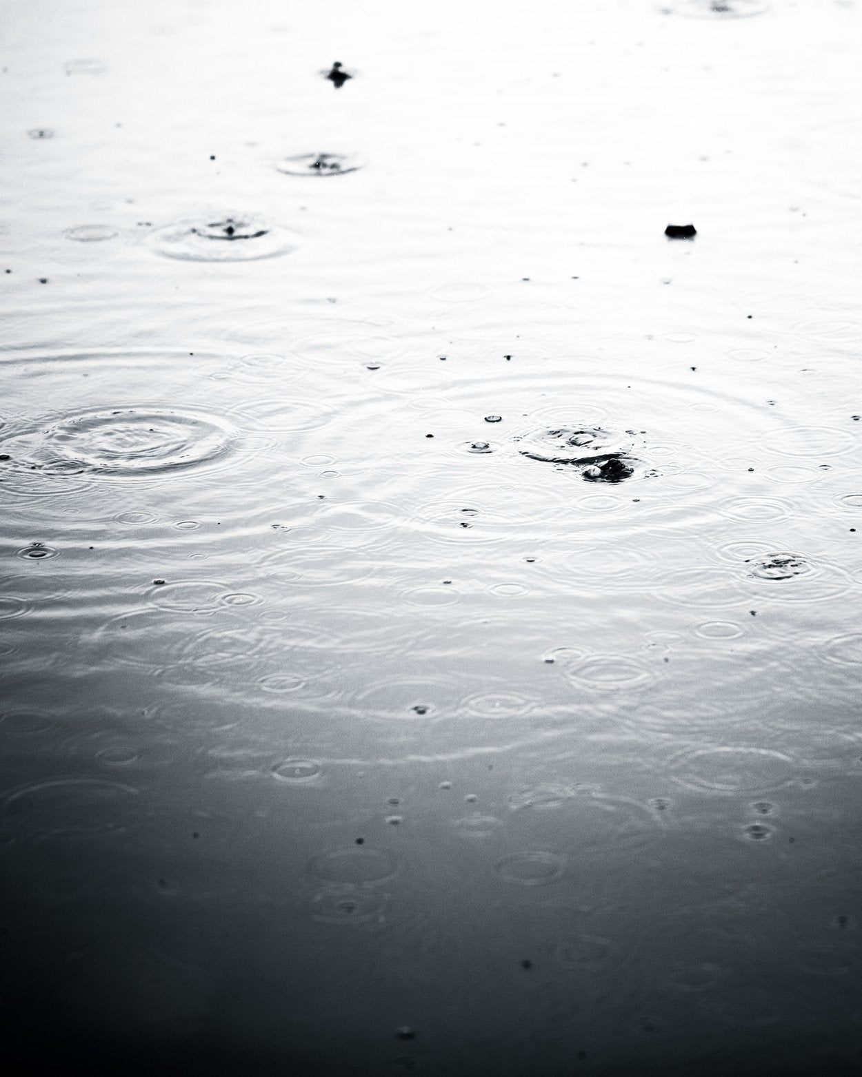 Herren Neoprenanzug Seek Select 5/4 Back Zip