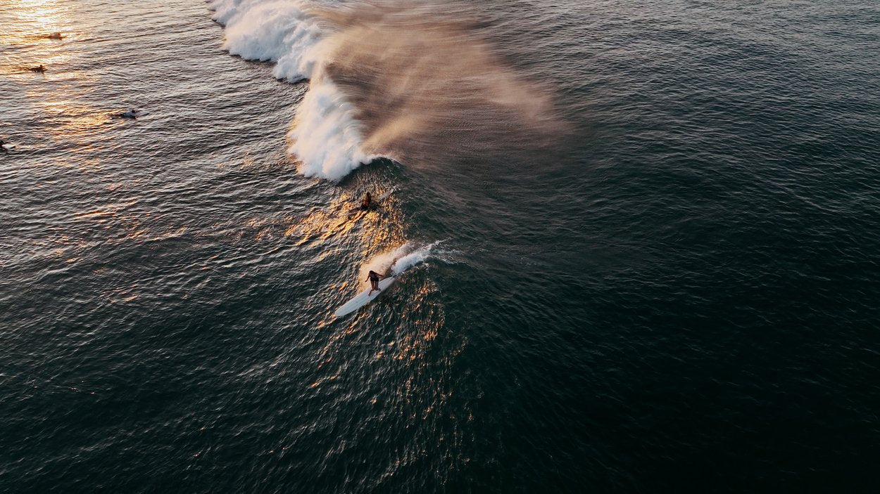 Damen Neoprenanzug Amaze Core 2/2 Shorty Kurzarm Back Zip